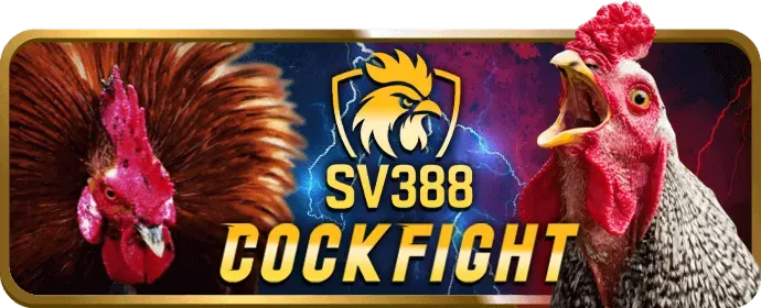 Ưu đãi chào mừng thành viên mới open 88